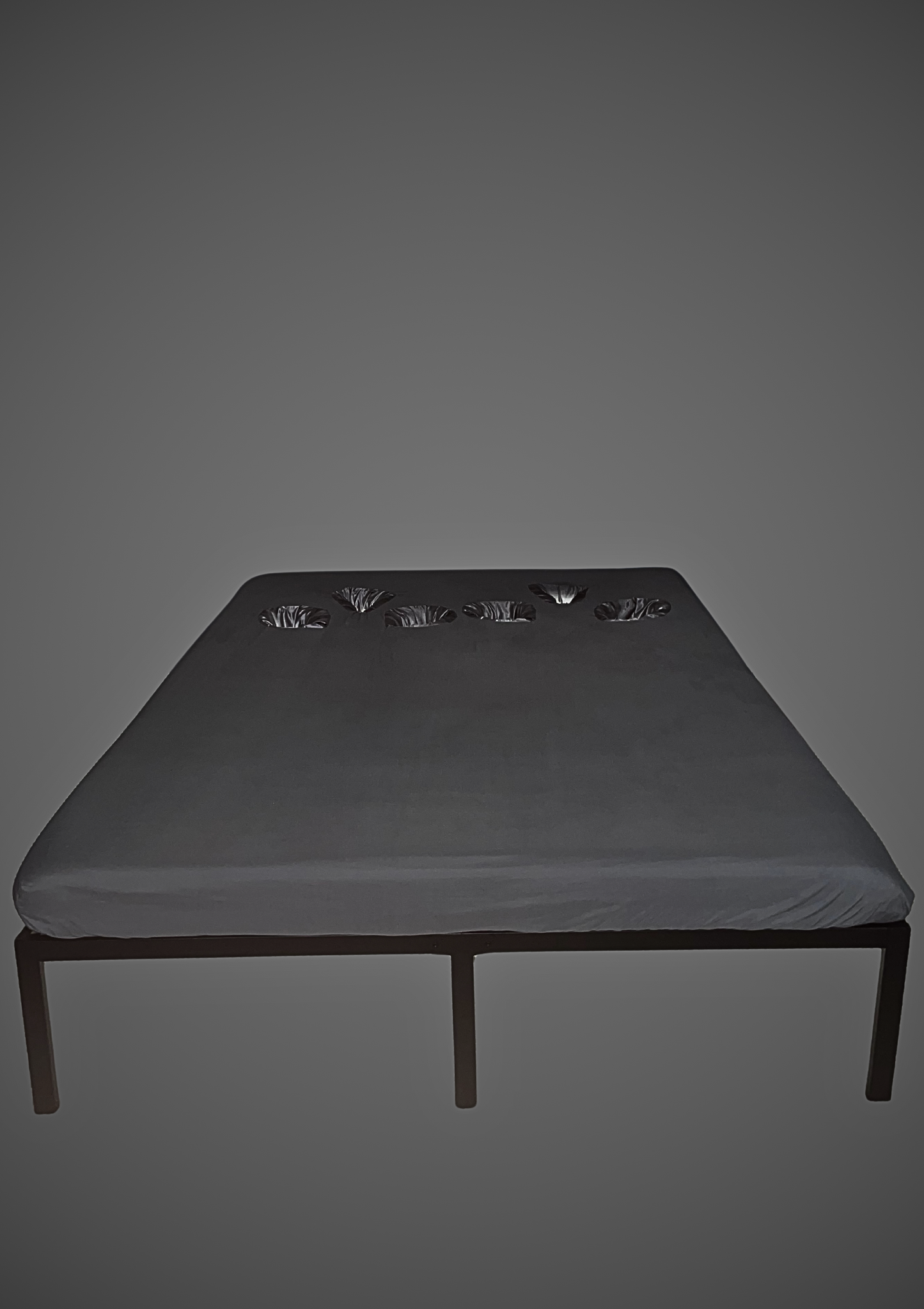 Extra Set of BODYBEDS™ Custom Fitted Sheet
