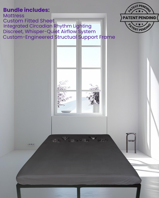 BODYBEDS™: The Patented Posture System for Focused Living